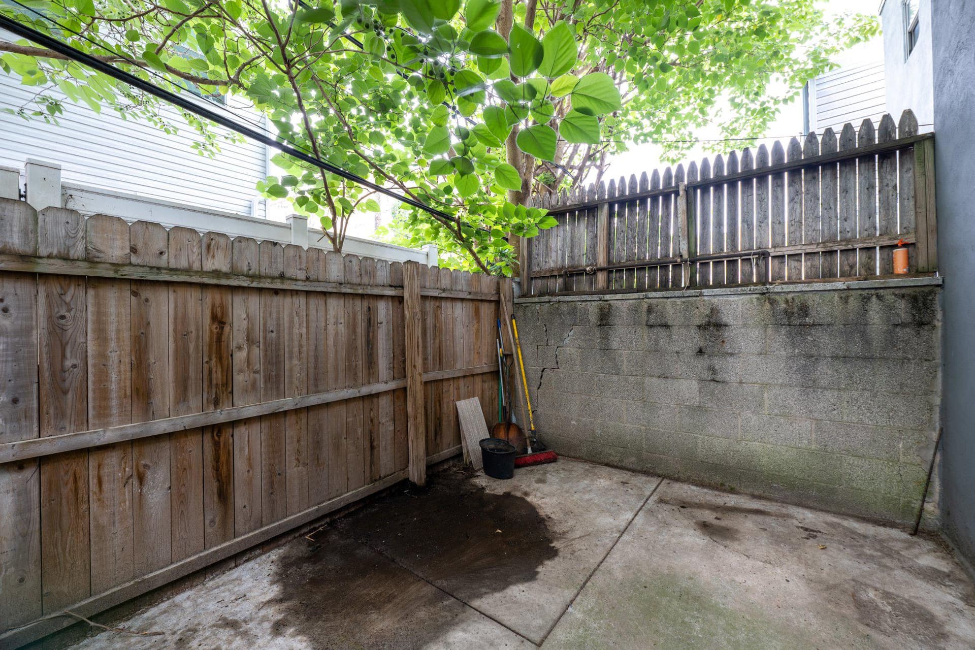 2117 Mountain Street photo 12