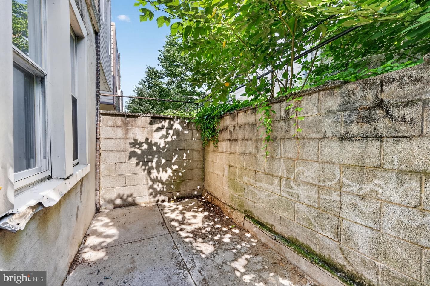 2019 Mifflin Street photo 15