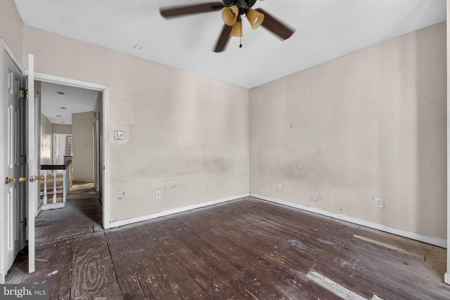 2019 Mifflin Street photo 20