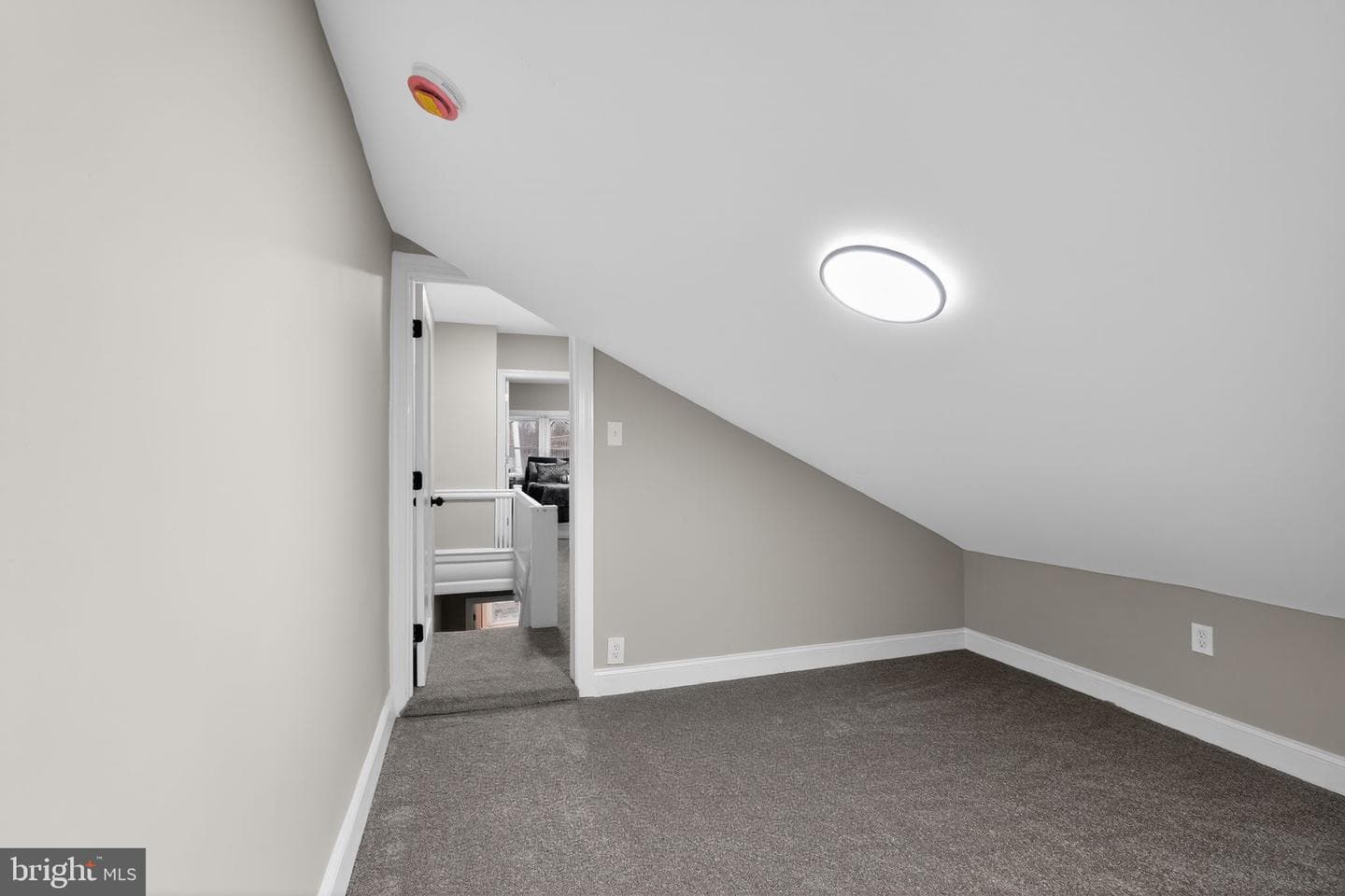 6111 Baynton Street photo 24