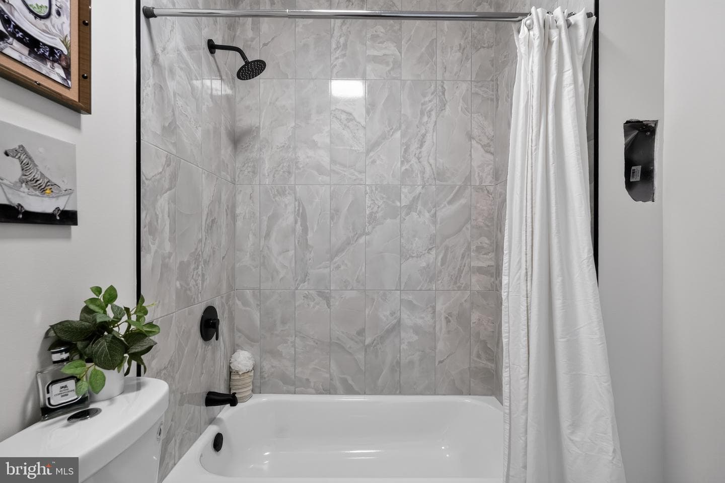 222 E Dorset Street photo 18