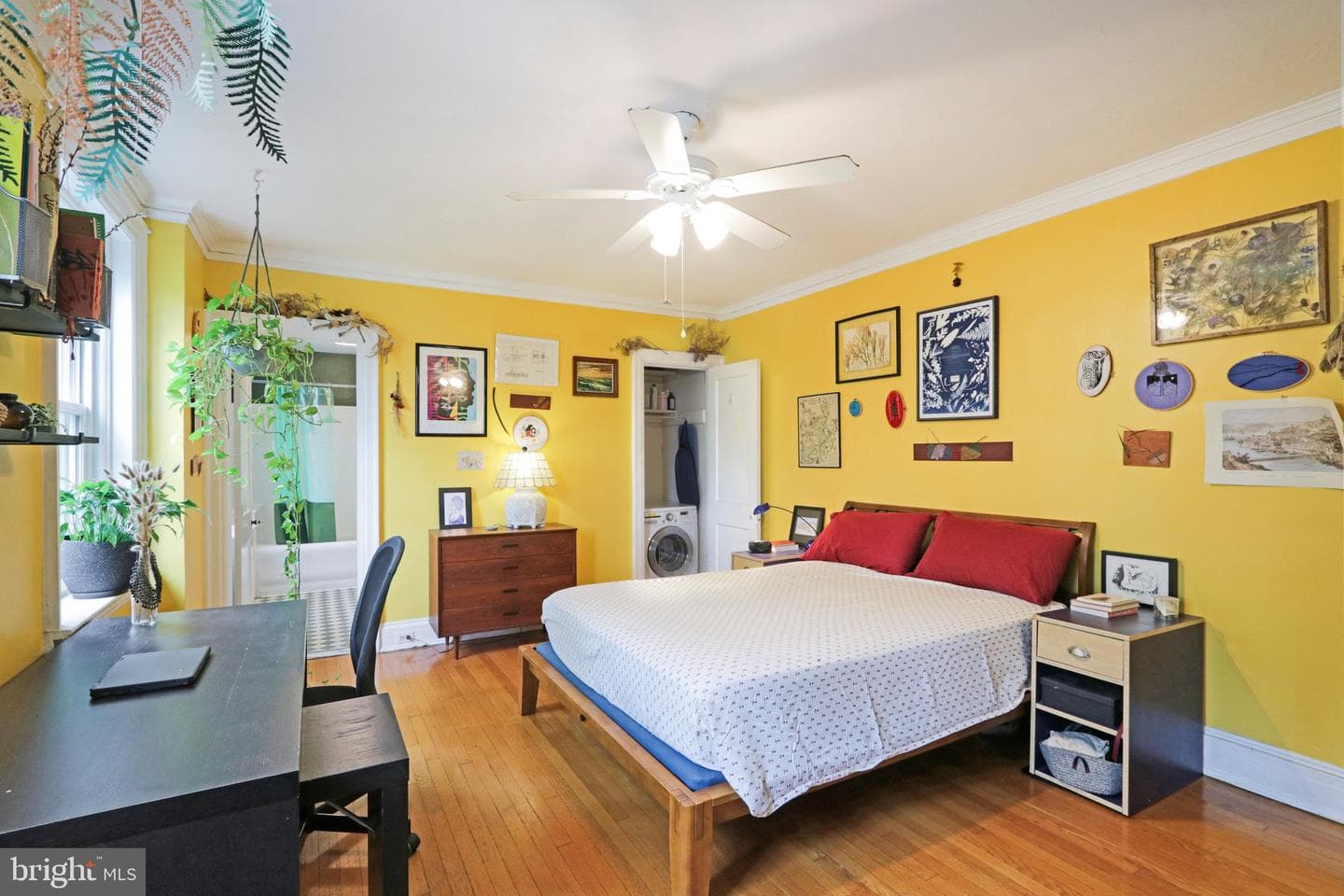 4637 Pine Street #d511 photo 18