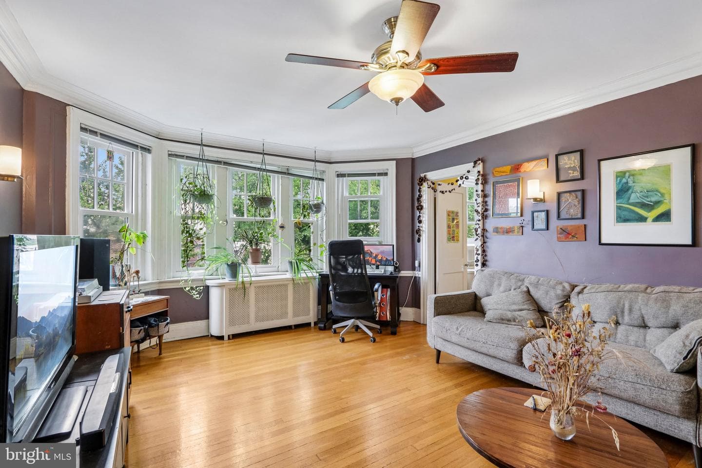 4637 Pine Street #d511 photo 2