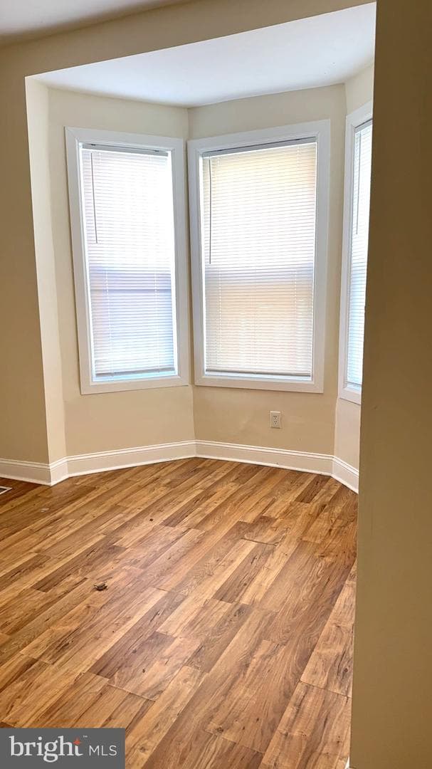 451 W Bringhurst Street #unit 1 photo 17