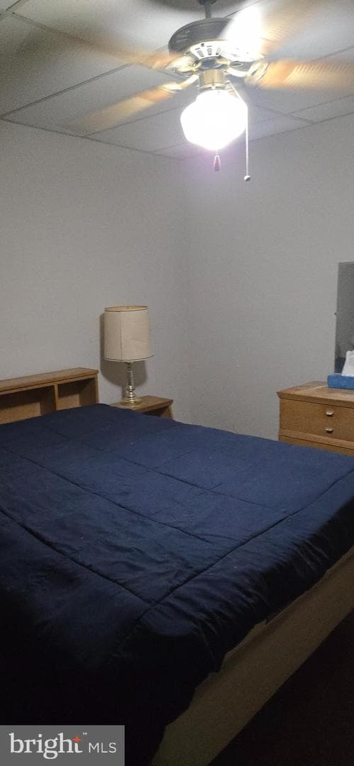 5 Willig Avenue photo 9