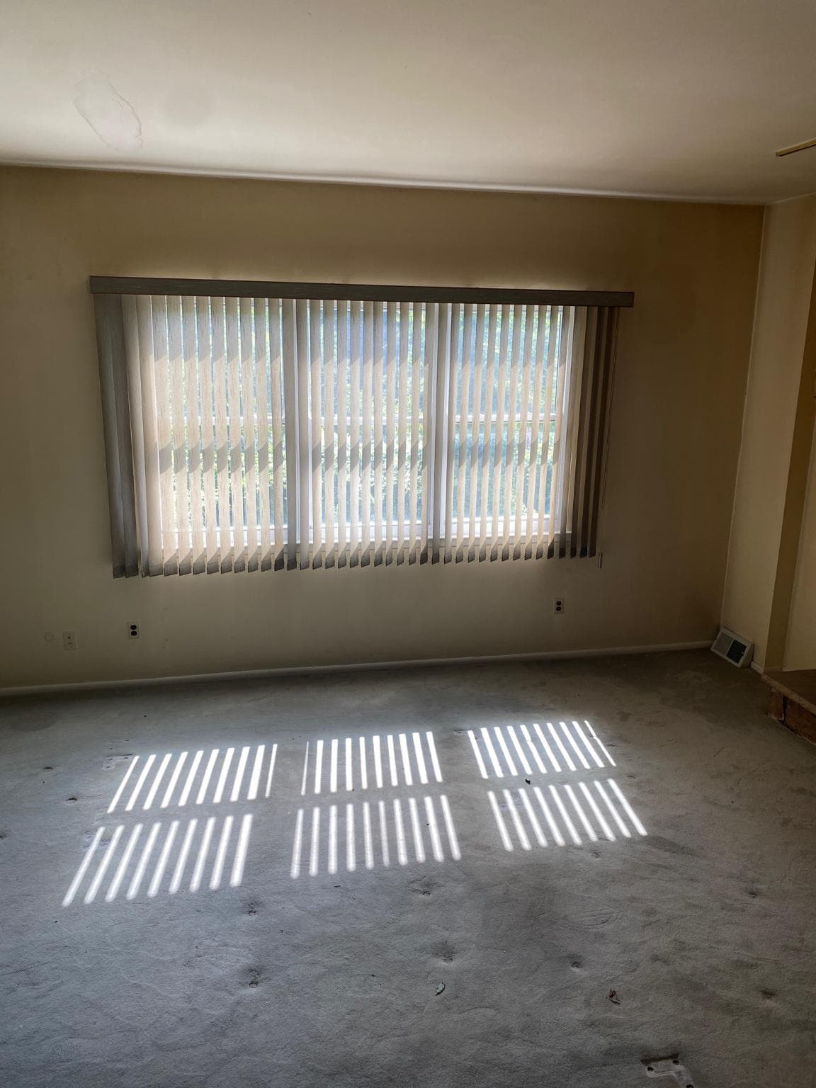 8909 Lewin Place photo 30