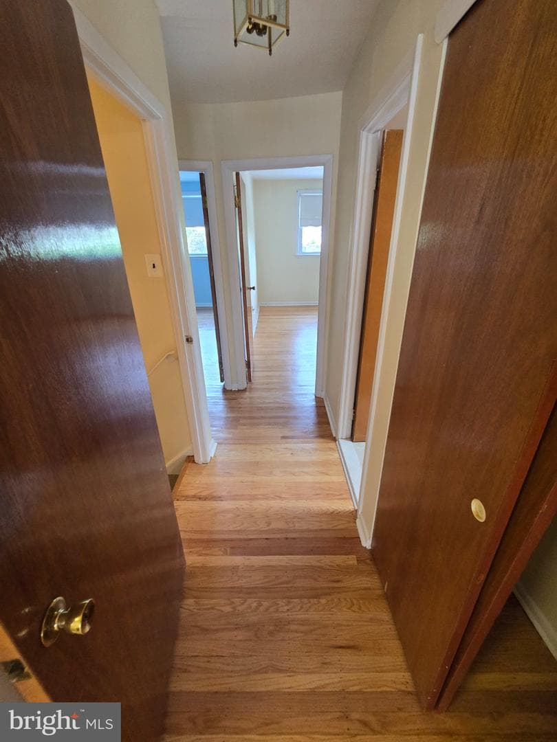 10222 Albemarle Lane photo 13