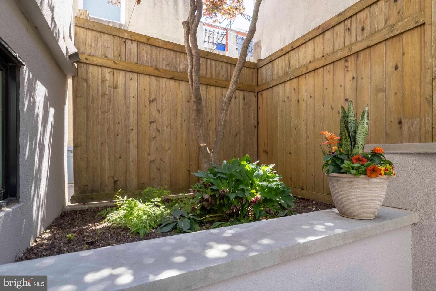 808 Carpenter Street #c photo 42