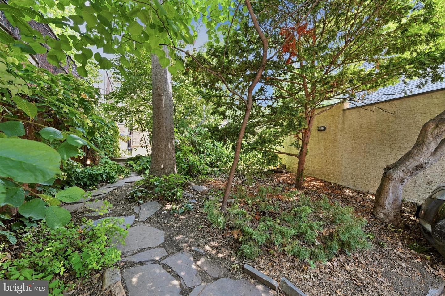 1510 Green Street photo 13