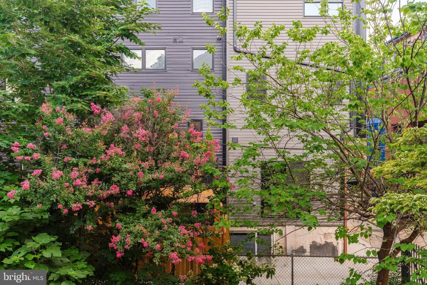 1707 Rodman Street photo 23