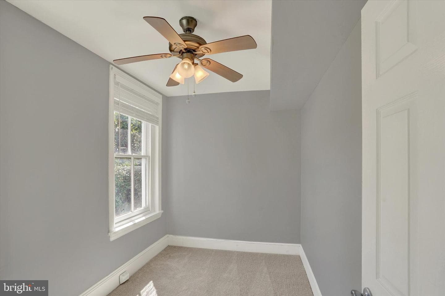 159 Hermitage Street photo 18