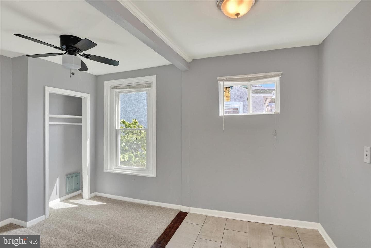 159 Hermitage Street photo 22
