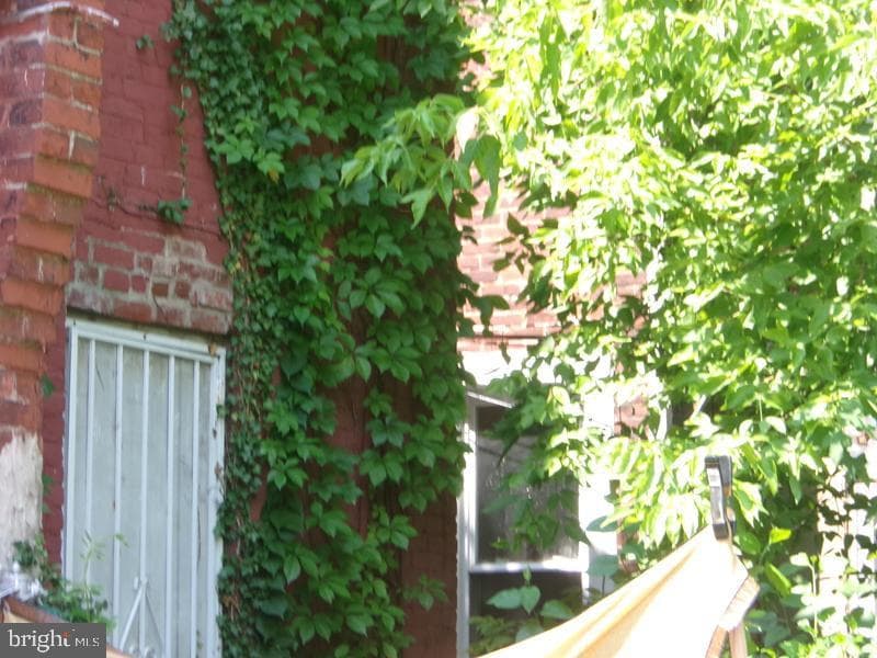 5503 Chancellor Street photo 6