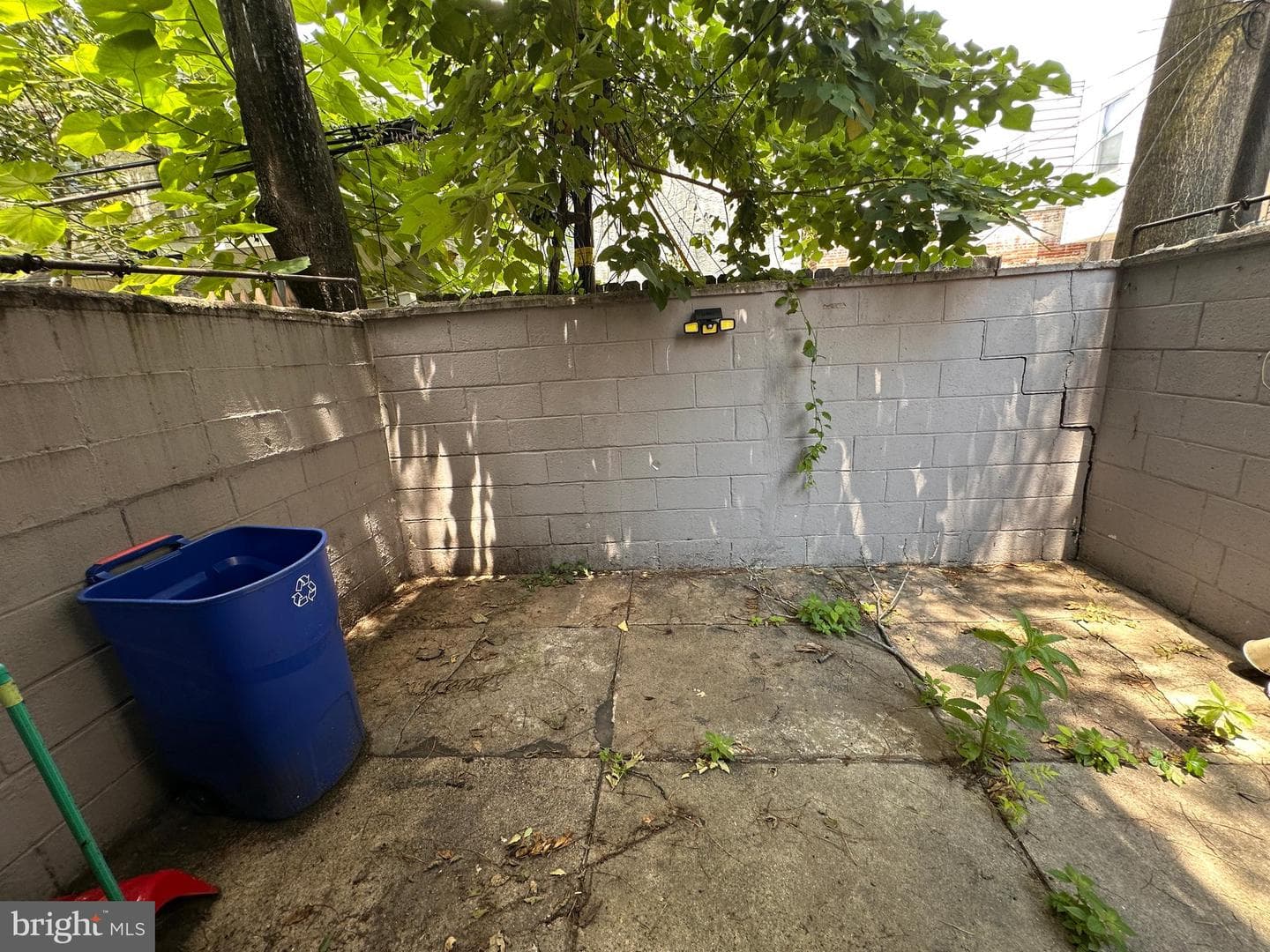 2209 Pierce Street photo 21