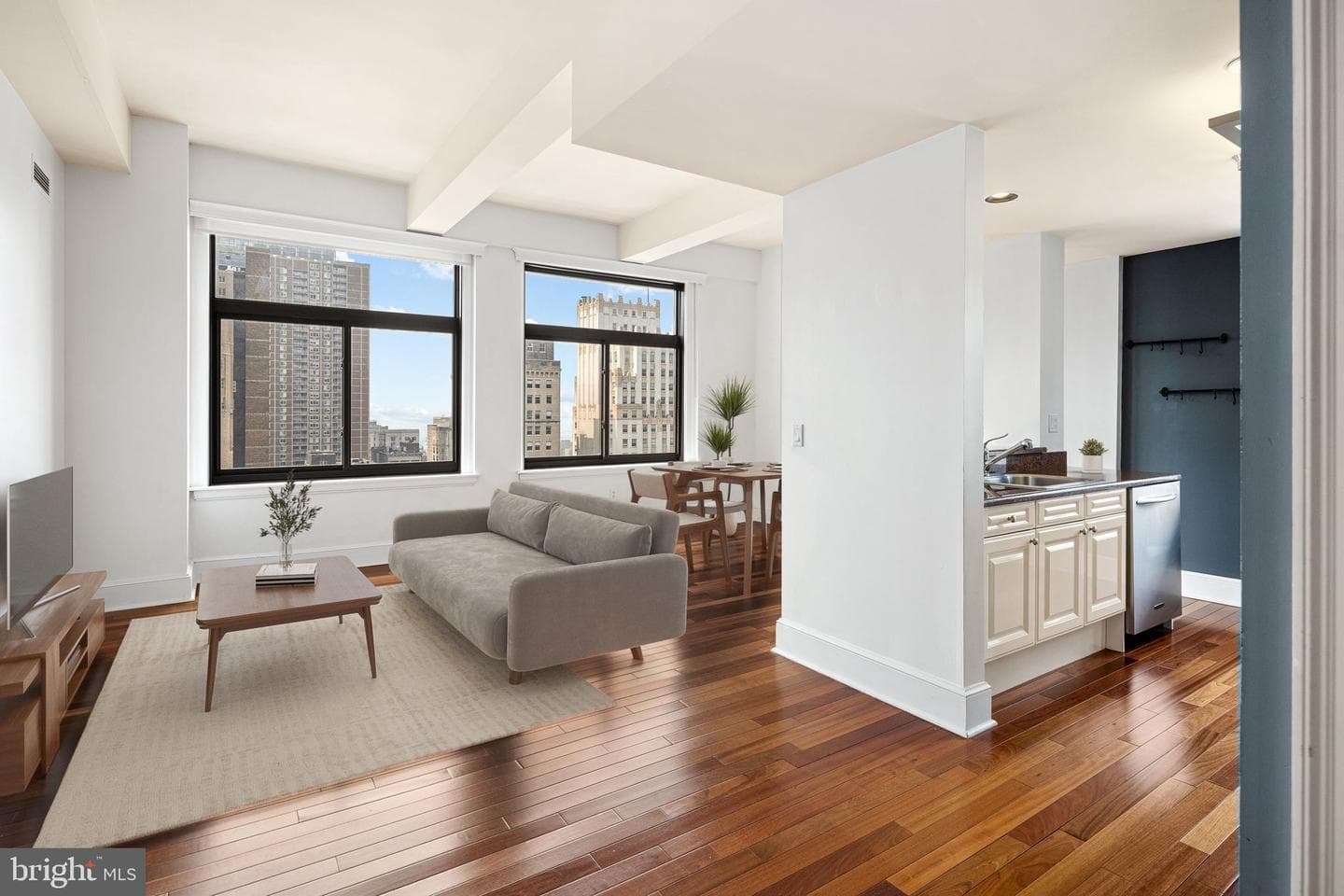 1500 Chestnut Street #17a photo 12