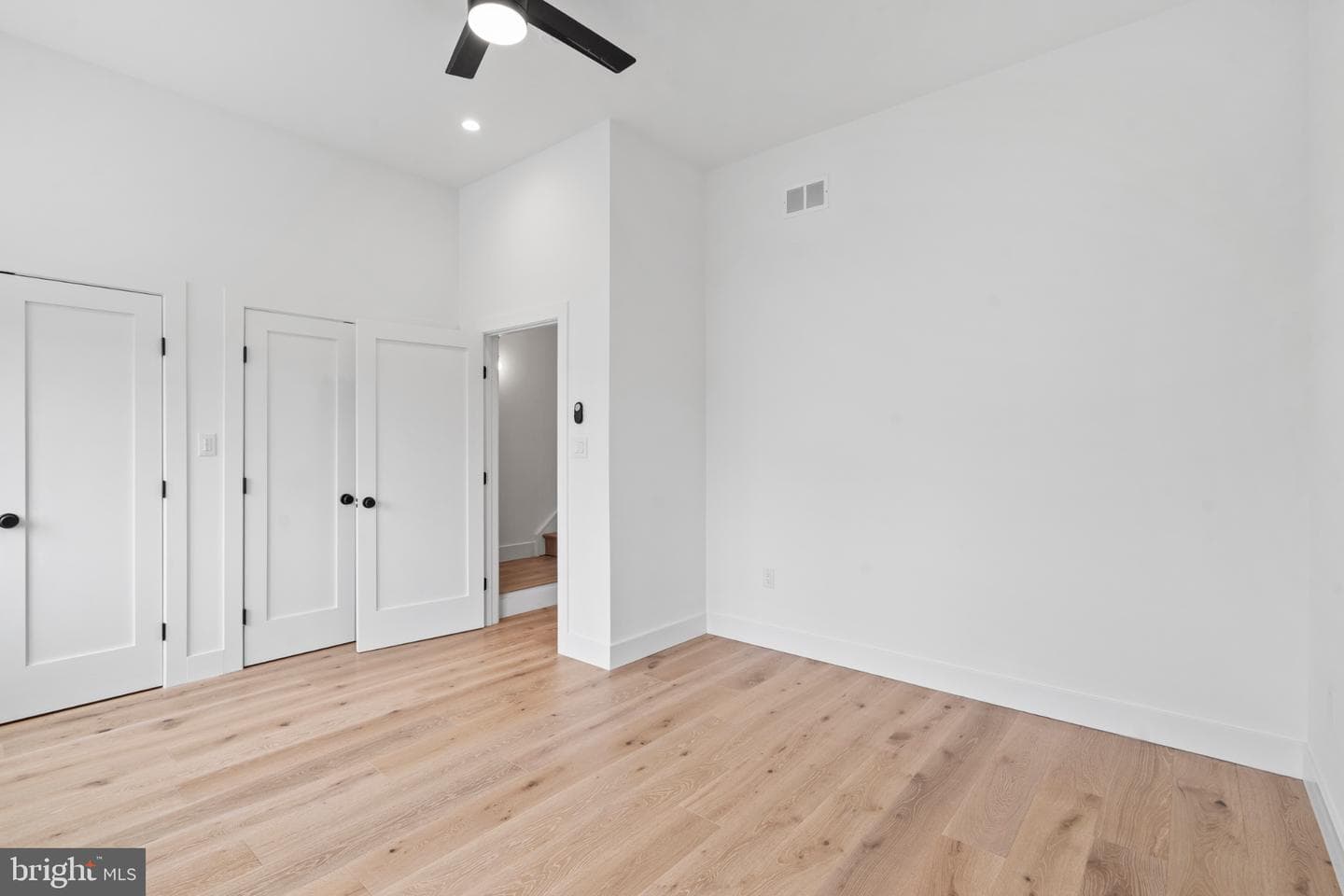 1115 E Palmer Street photo 46