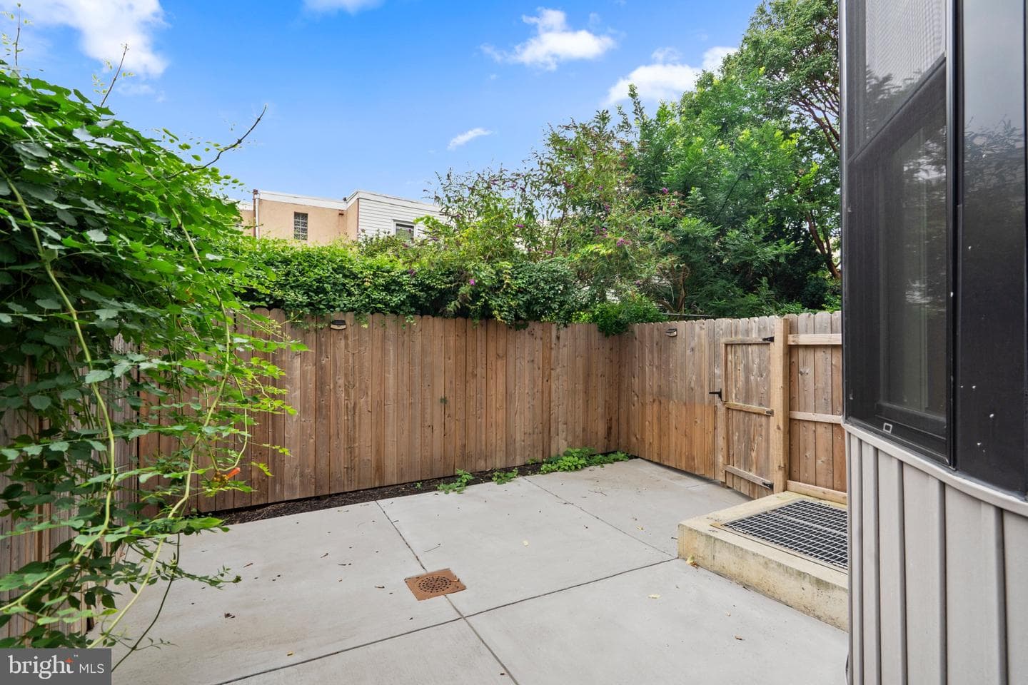 1115 E Palmer Street photo 57