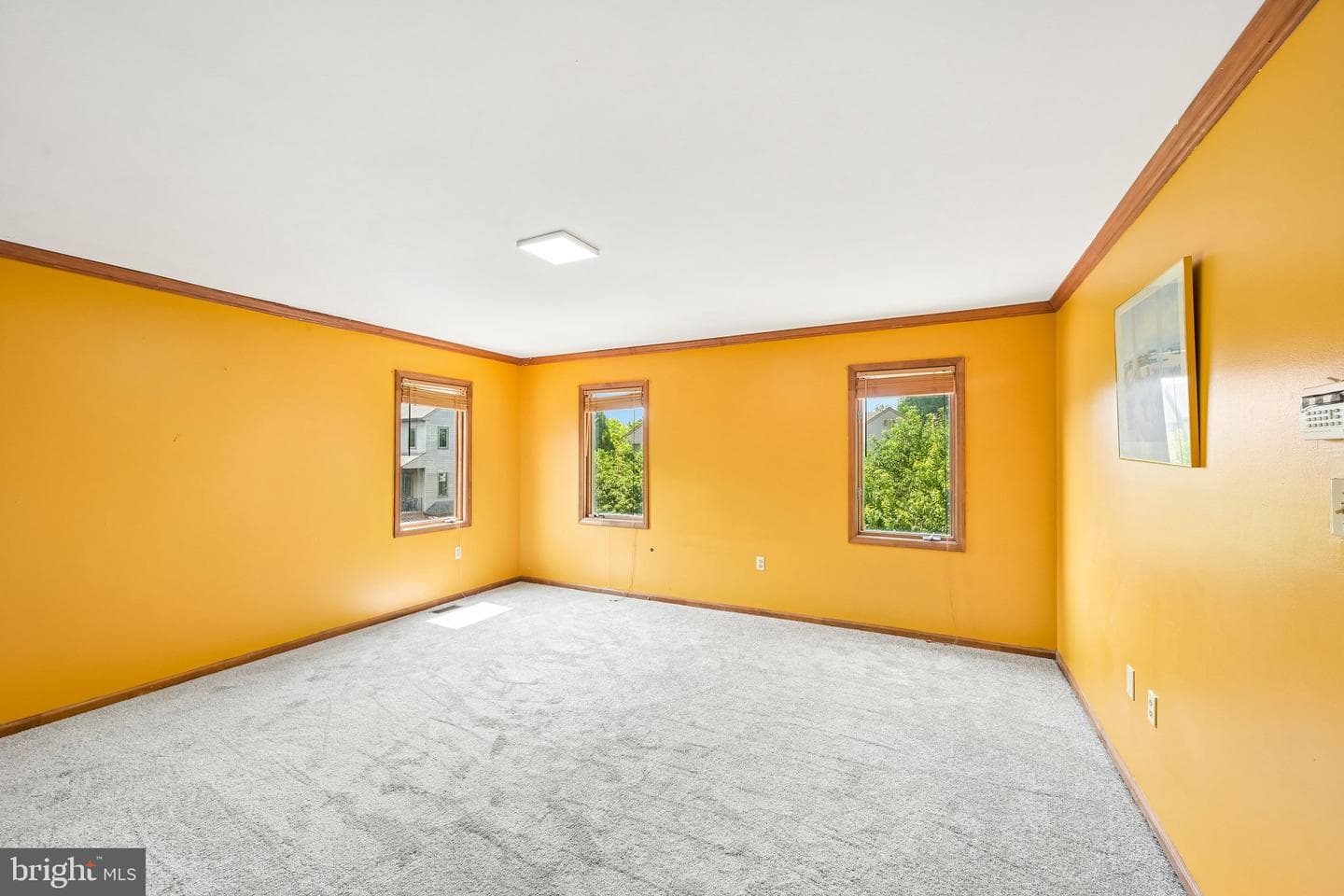 8816 Ridge Avenue #17 photo 22