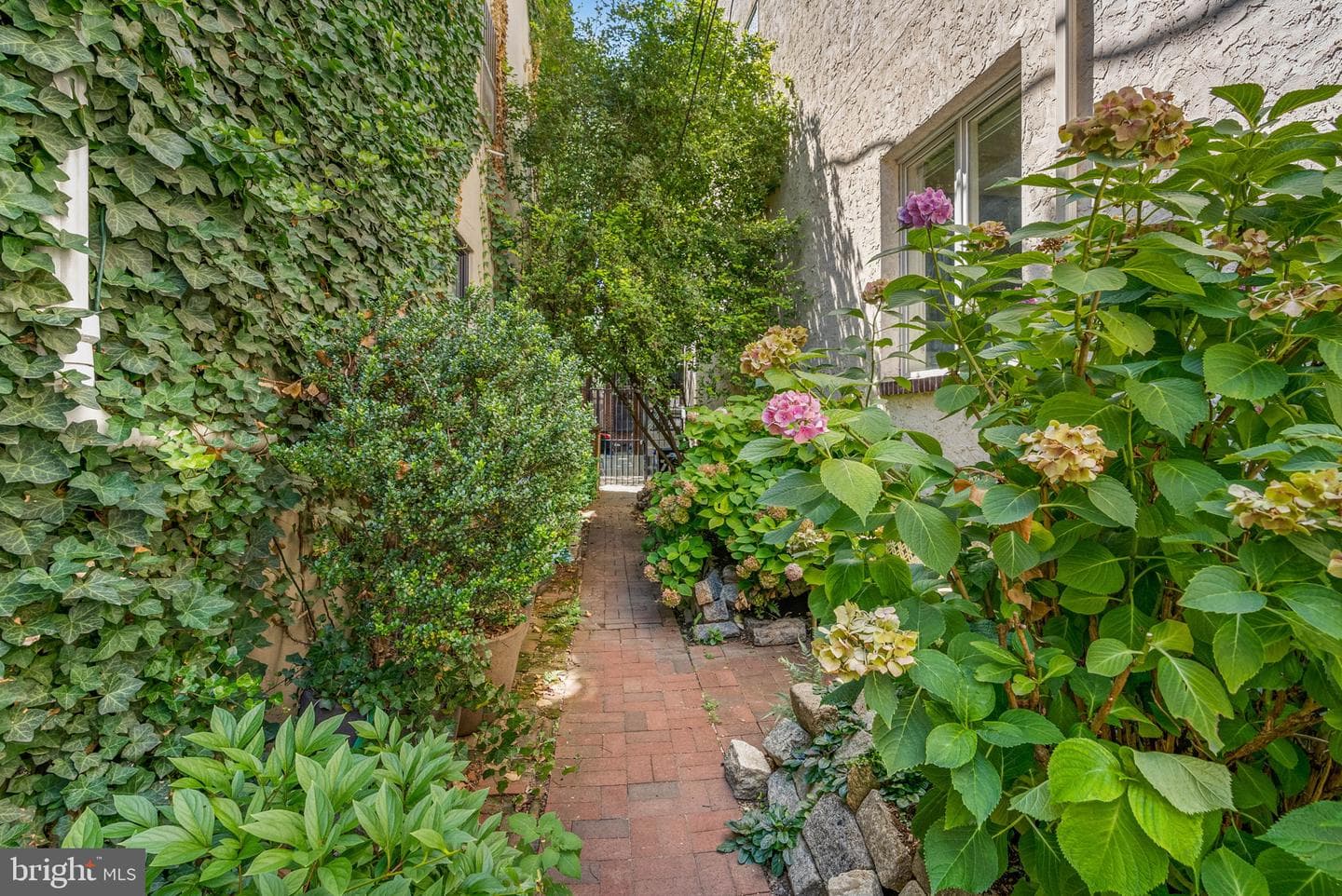 525 Fitzwater Street #3 photo 18