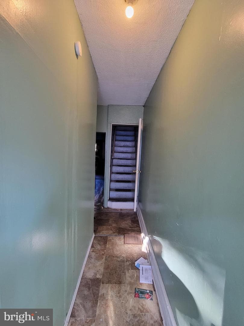 813 W Birch Street photo 4