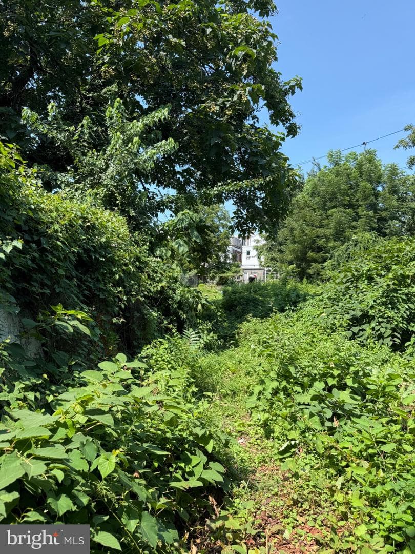 2021 W Westmoreland Street photo 23