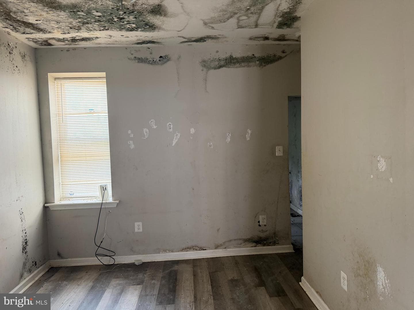 5528 Bloyd Street photo 4