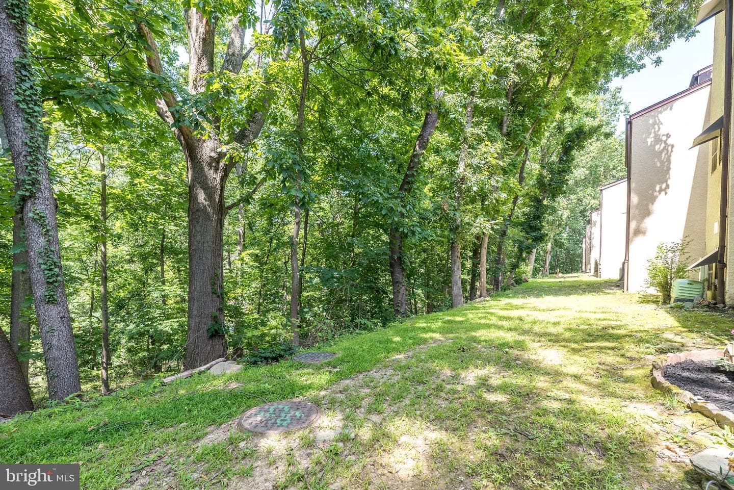 307 Shawmont Avenue #d photo 24