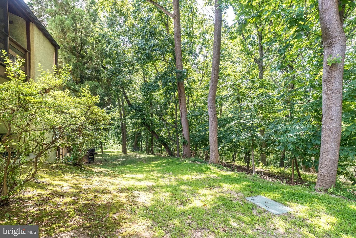 307 Shawmont Avenue #d photo 25