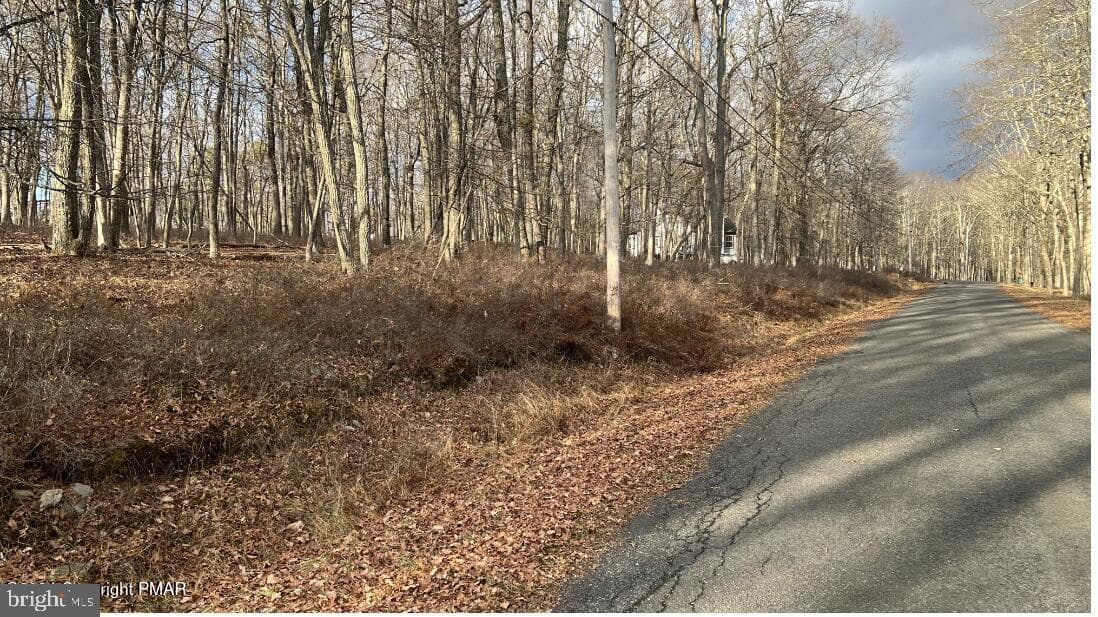 Lot 288 Doe Loop