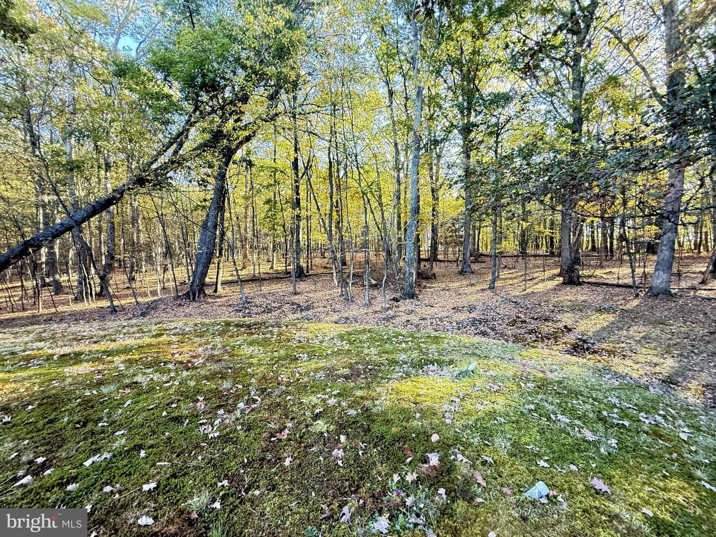 2119 Meadowlark Circle photo 29