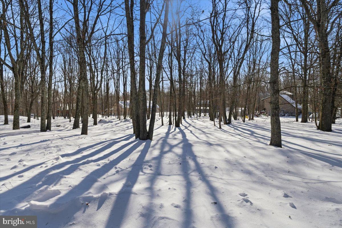 186 Pocono Boulevard photo 21
