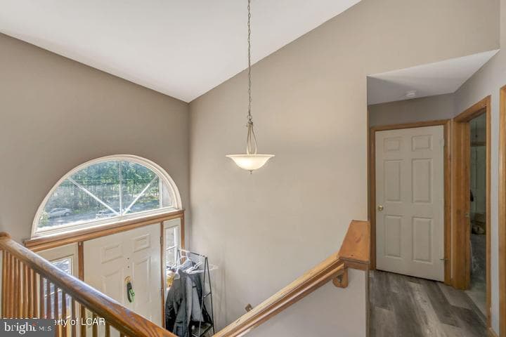 104 Yvette Court photo 34