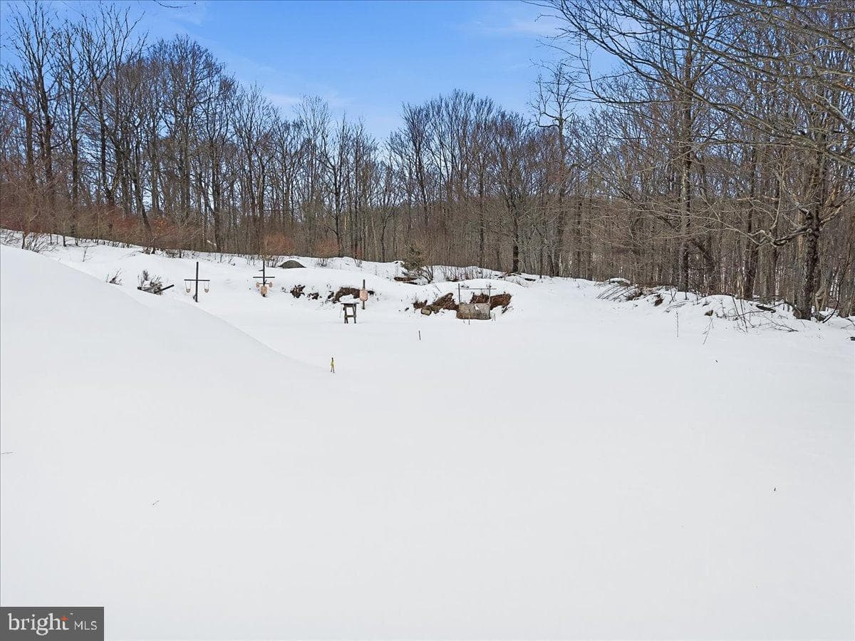 134 Split Rock Road photo 49