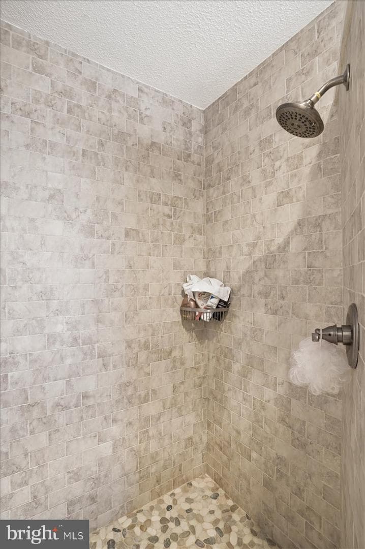 114 Shore Road photo 86