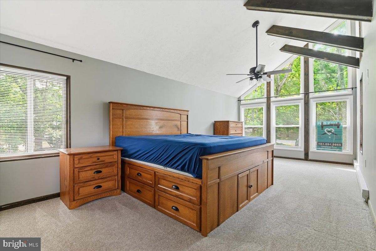 142 Saunders Drive photo 24