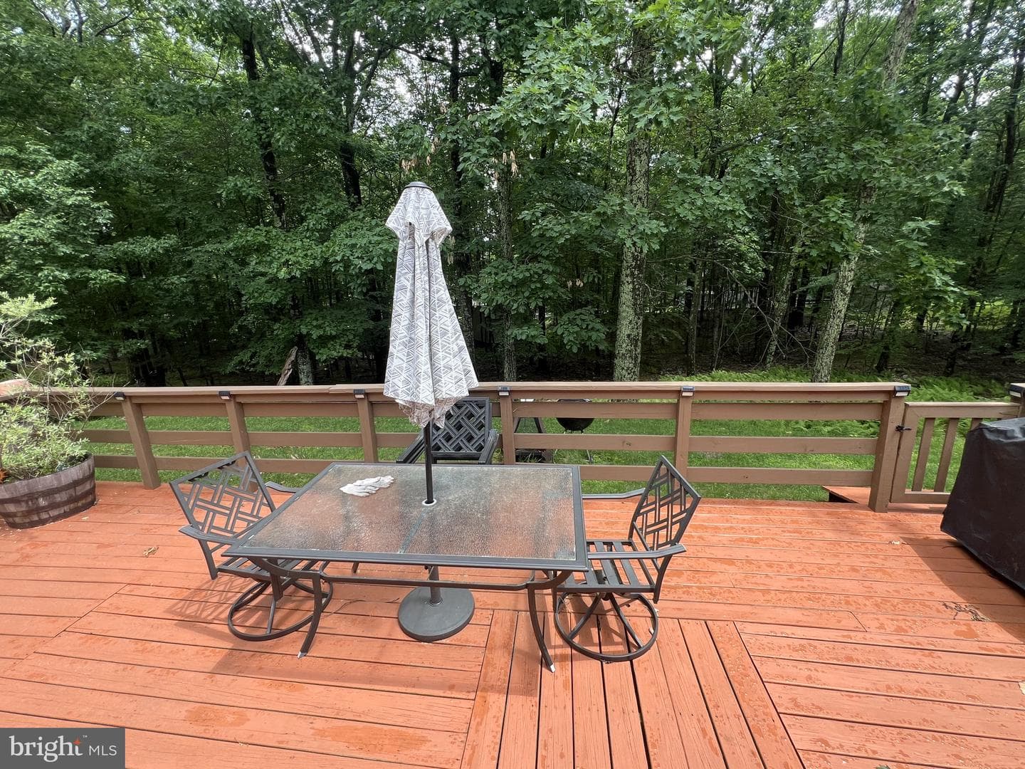 113 Bailey Drive photo 6