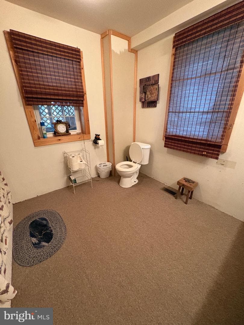 4 Hemlock Lane photo 22