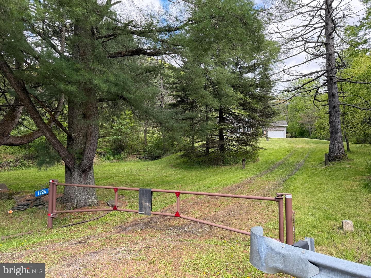 Tract 1: 1226 Cross Fork Creek Rd photo 138