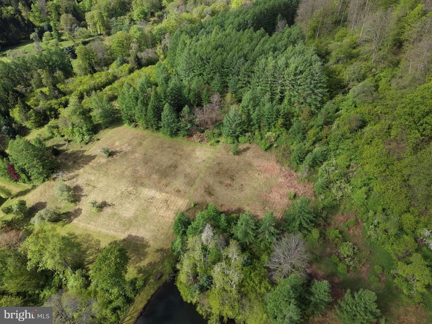 Tract 1: 1226 Cross Fork Creek Rd photo 16
