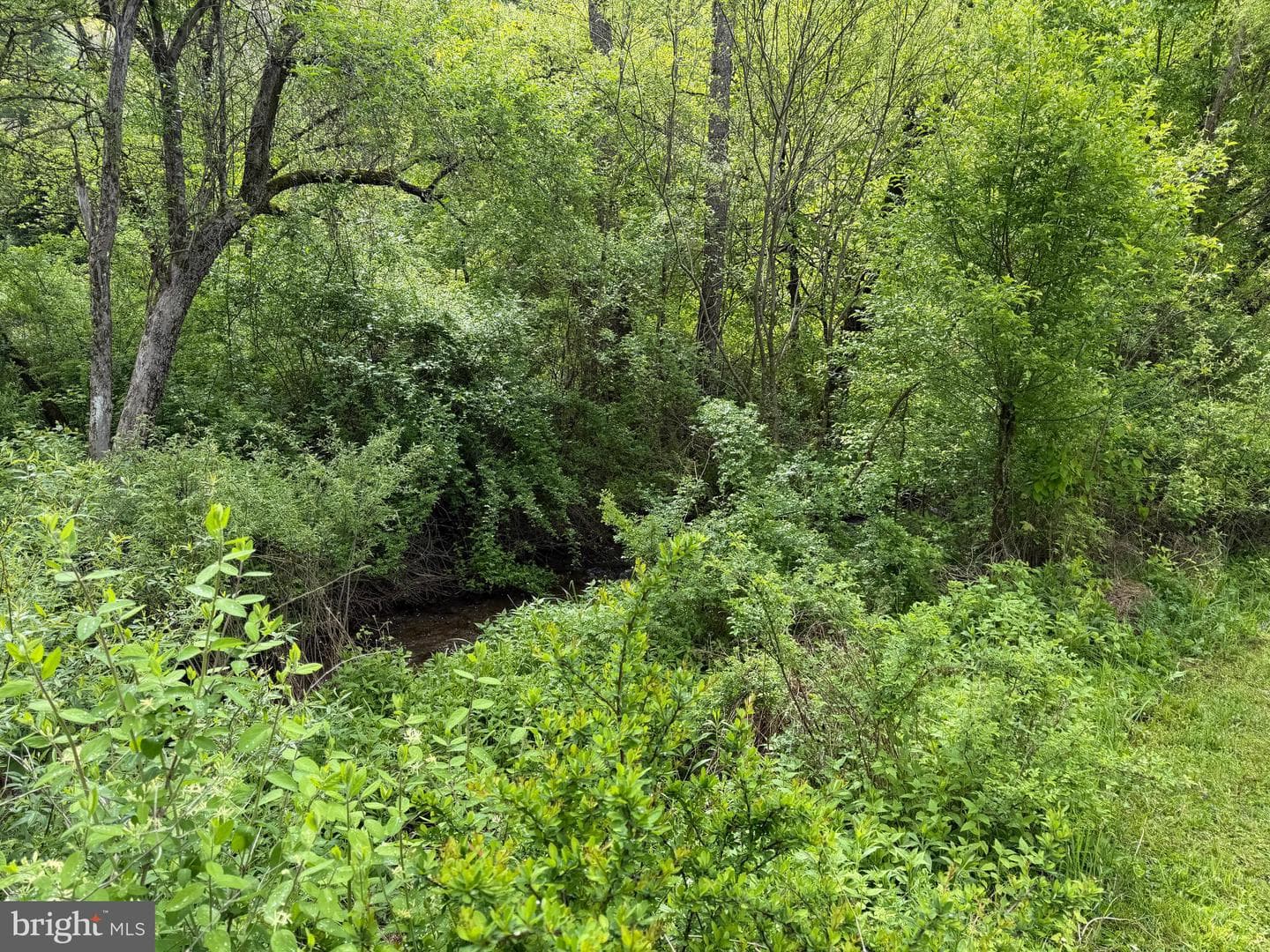 Tract 1: 1226 Cross Fork Creek Rd photo 35