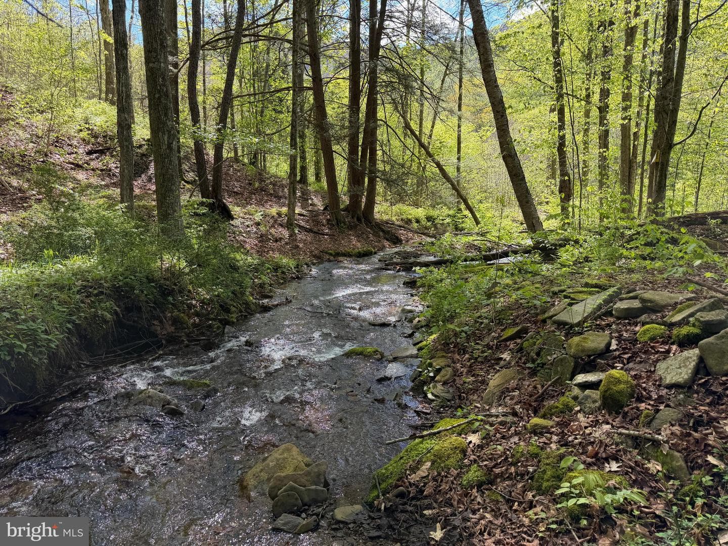 Tract 1: 1226 Cross Fork Creek Rd photo 61