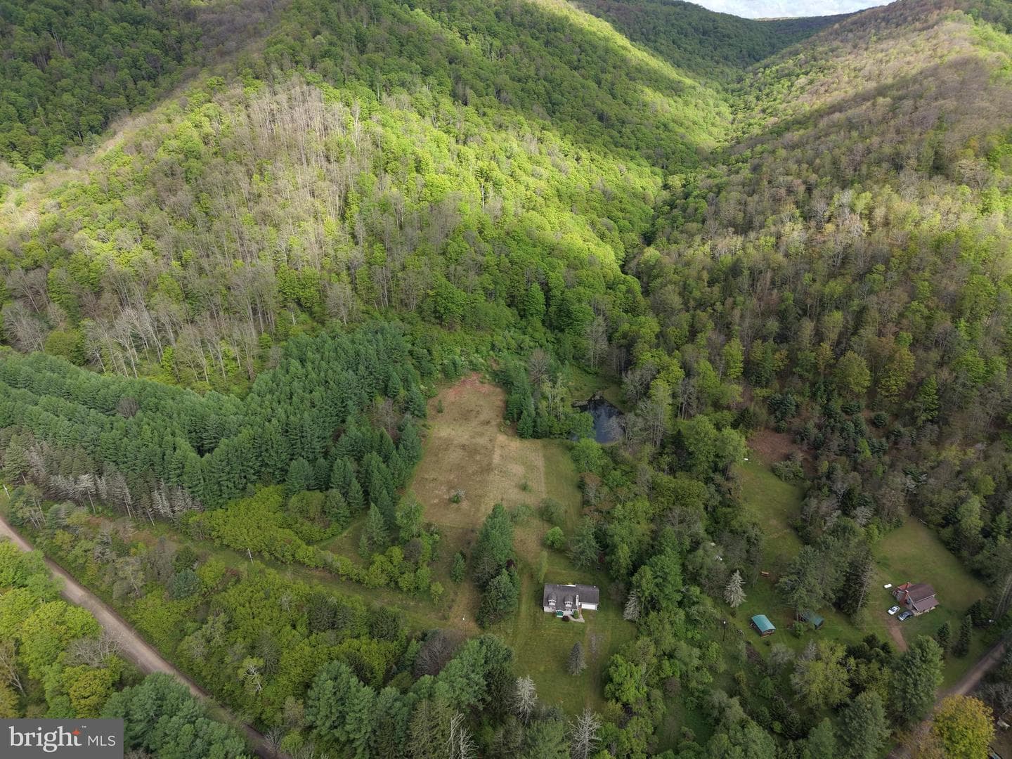 Tract 1: 1226 Cross Fork Creek Rd photo 7