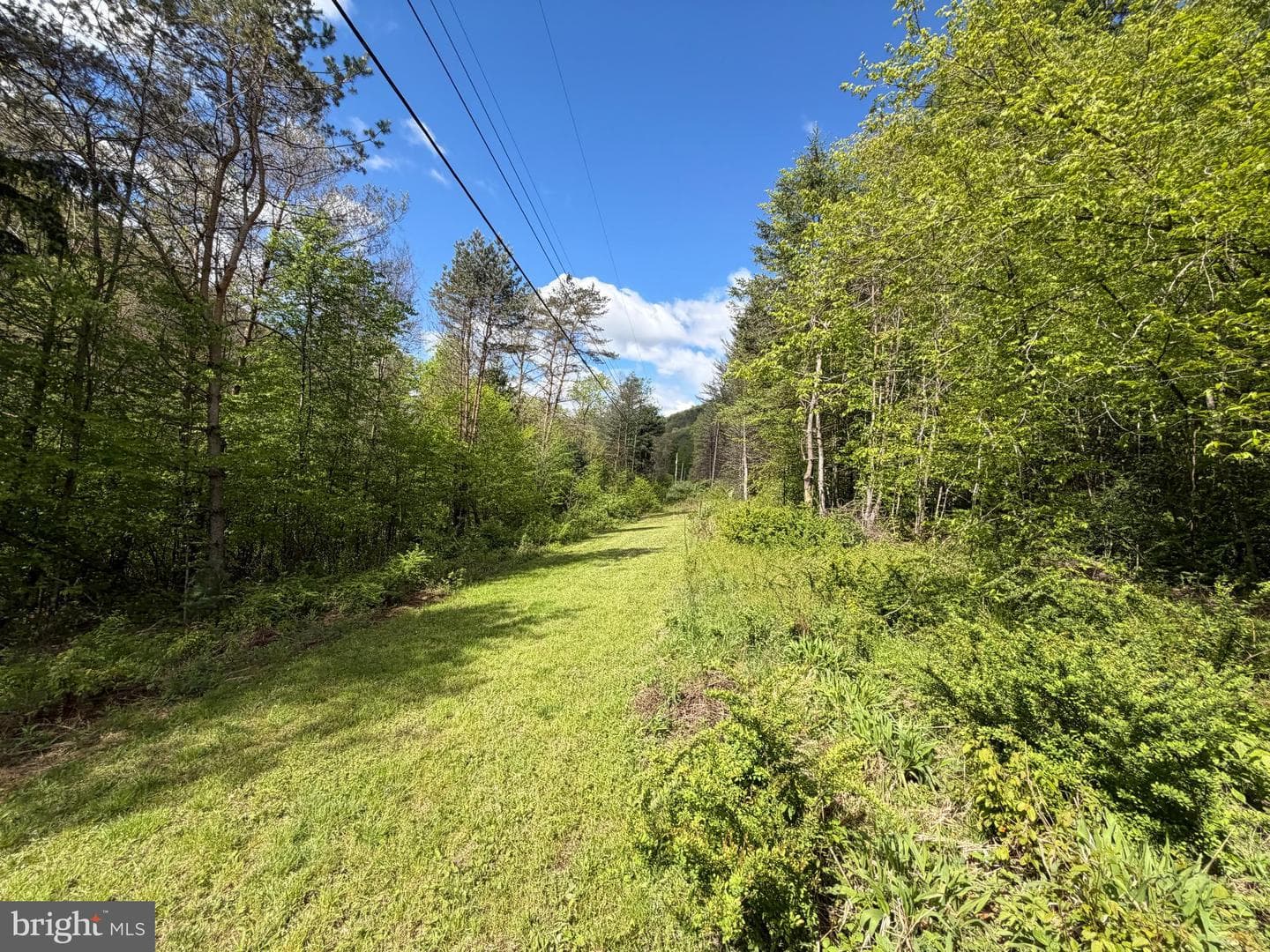 Tract 1: 1226 Cross Fork Creek Rd photo 78