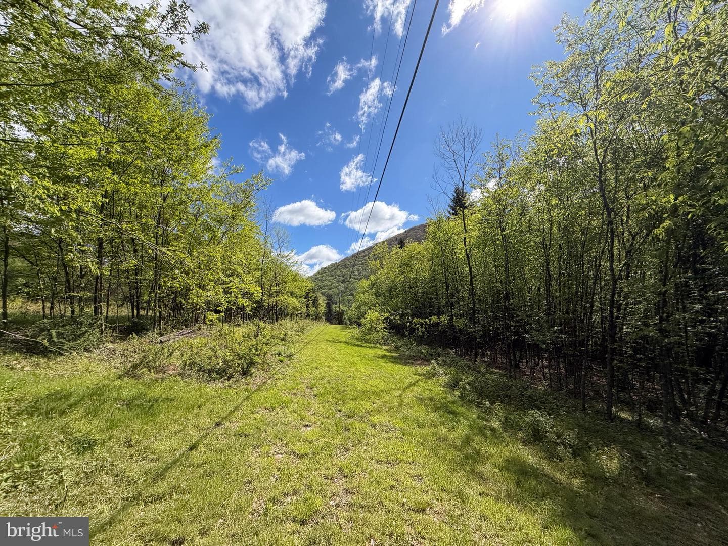 Tract 1: 1226 Cross Fork Creek Rd photo 81