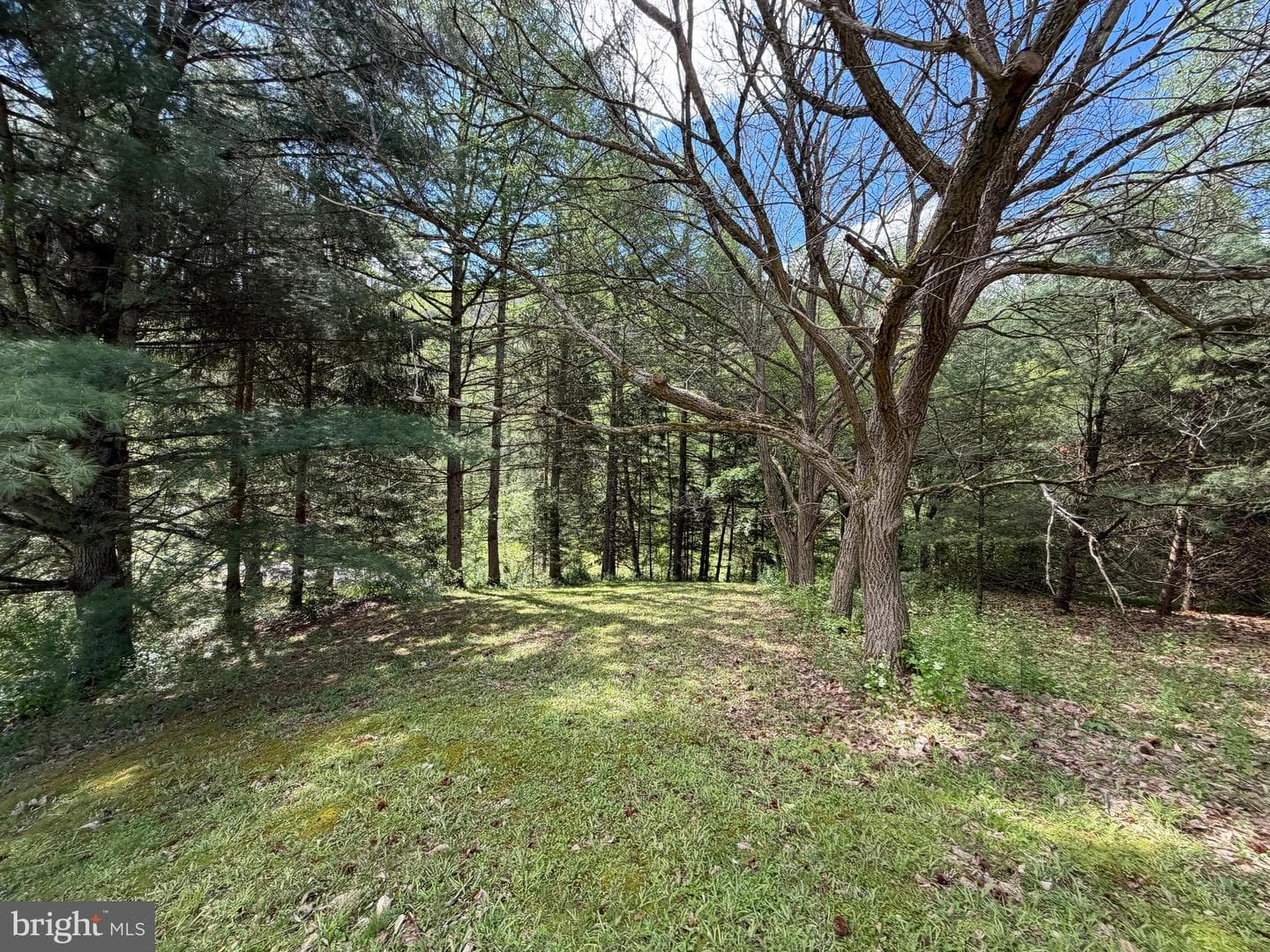 Tract 1: 1226 Cross Fork Creek Rd photo 85