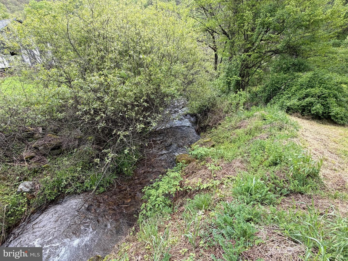 Tract 2: 1227 Cross Fork Creek Rd photo 102