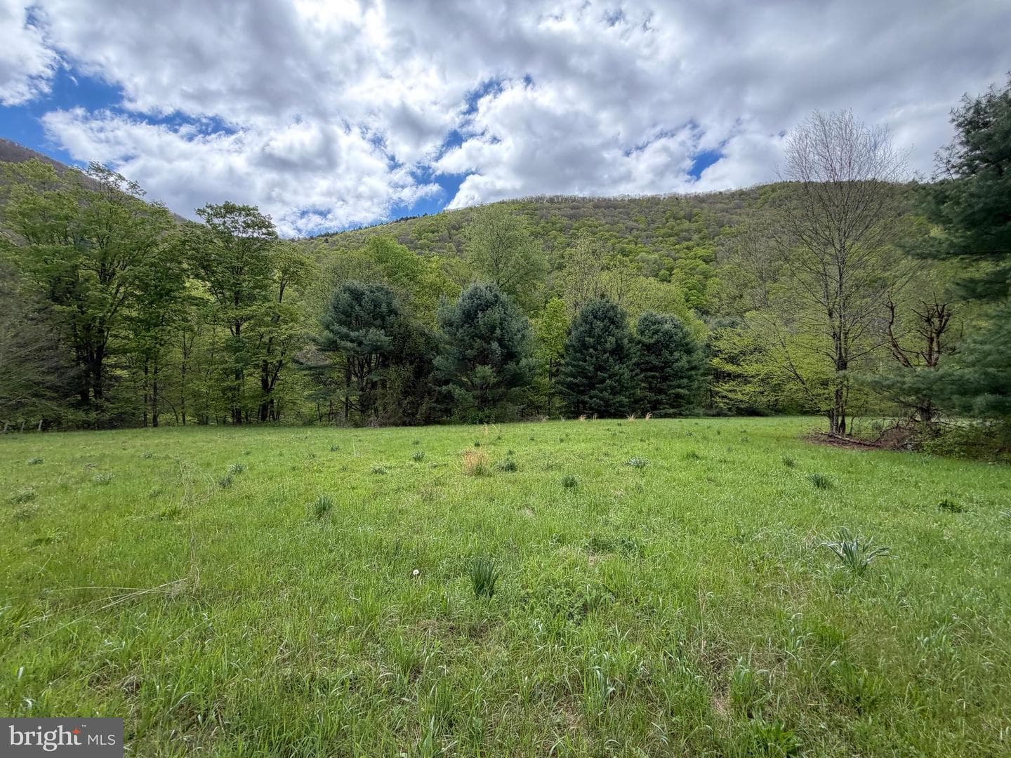 Tract 2: 1227 Cross Fork Creek Rd photo 109