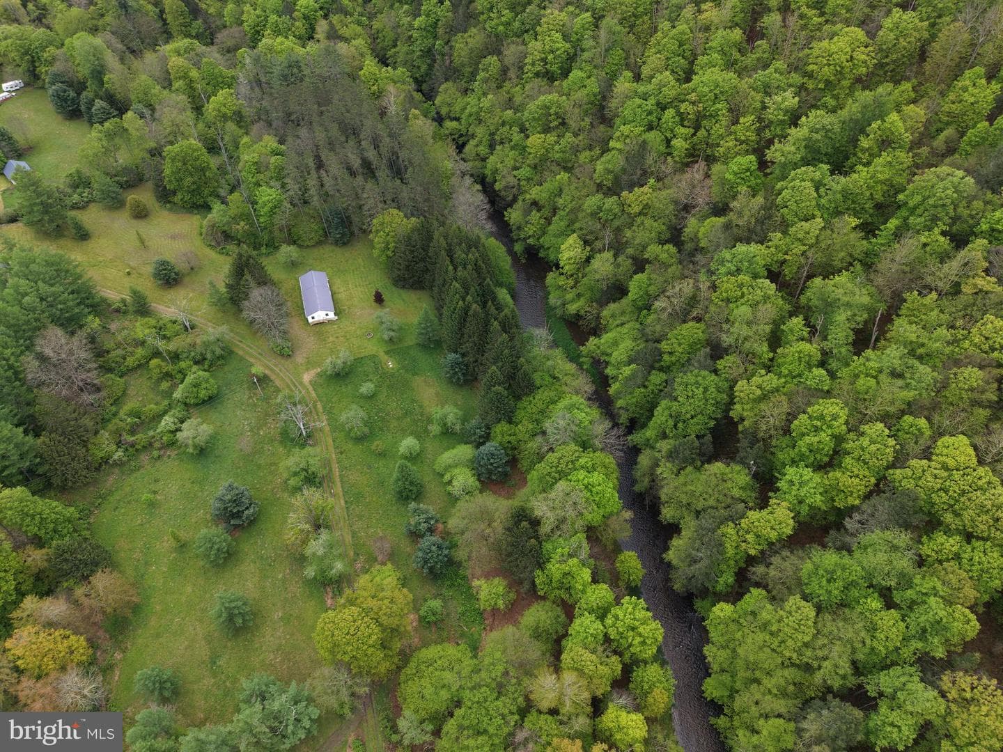 Tract 2: 1227 Cross Fork Creek Rd photo 22