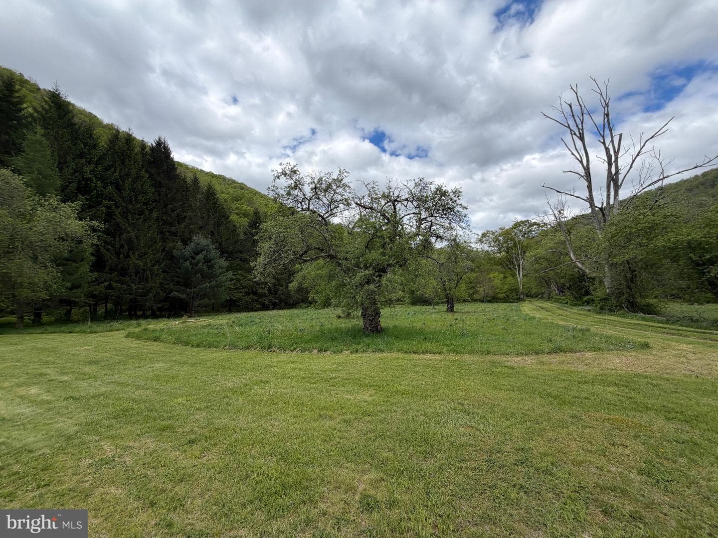 Tract 2: 1227 Cross Fork Creek Rd photo 47