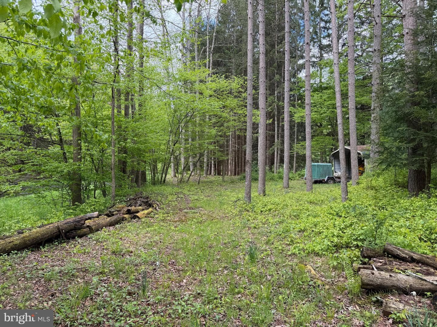 Tract 2: 1227 Cross Fork Creek Rd photo 68